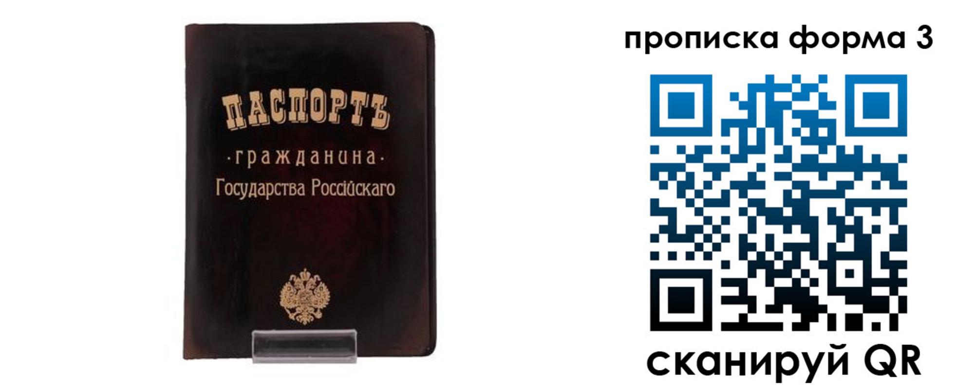 прописка паспорт в Сельцо